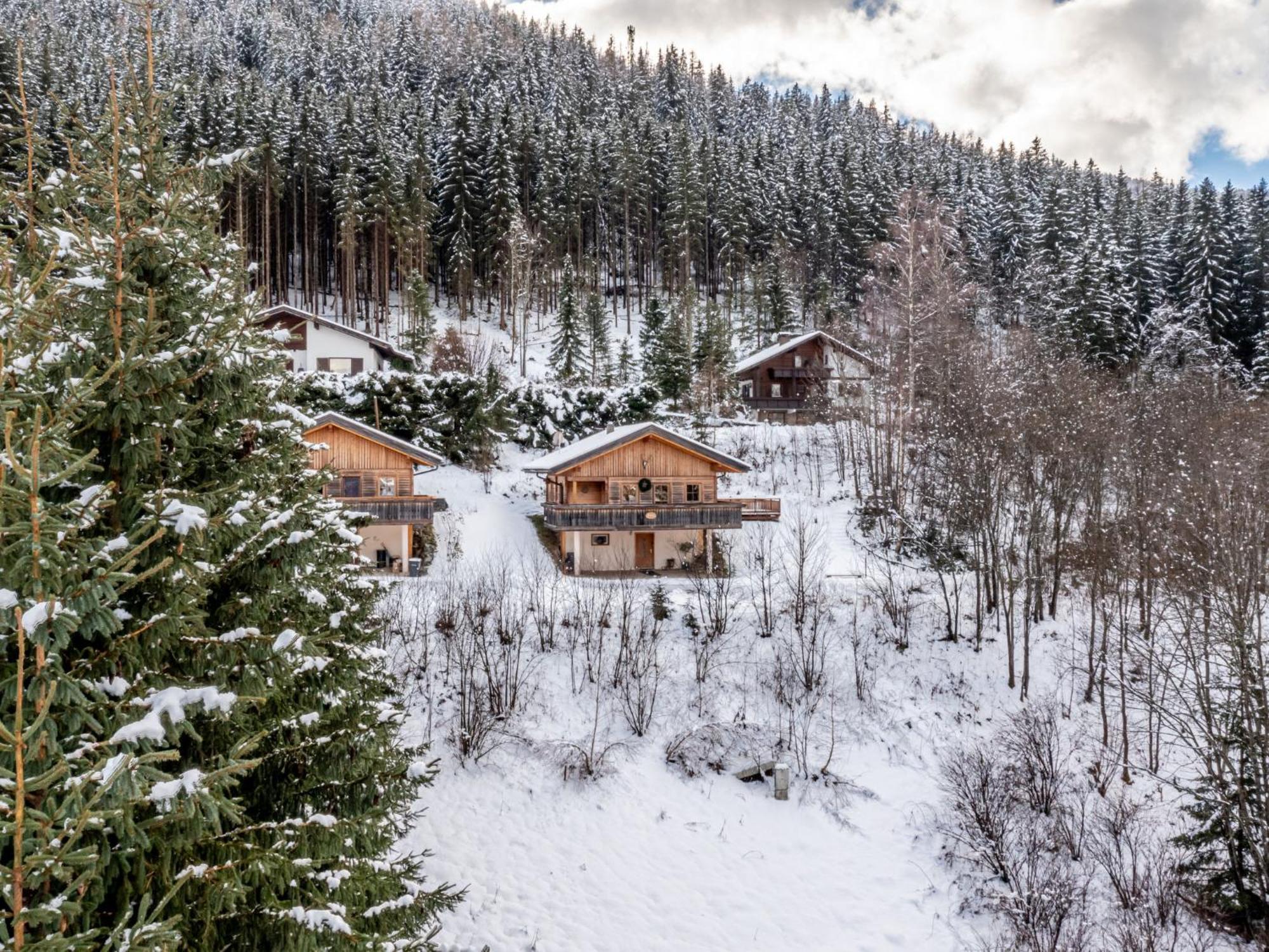 Chalet Venus Patergassen Exterior foto